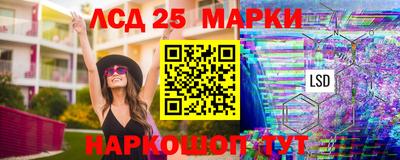 мяу мяу мука Будённовск
